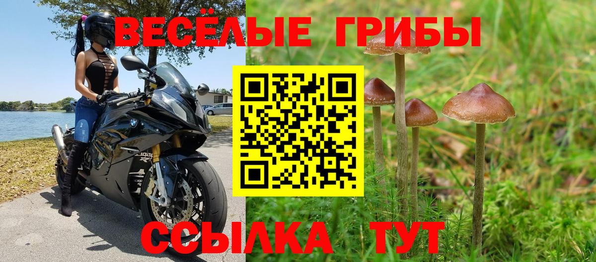 Псилоцибиновые грибы мицелий Сарапул
